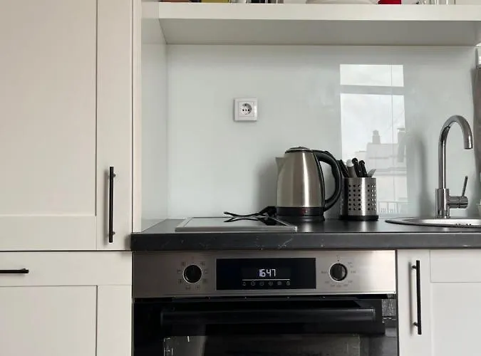 Will It, In Vracar 베오그라드